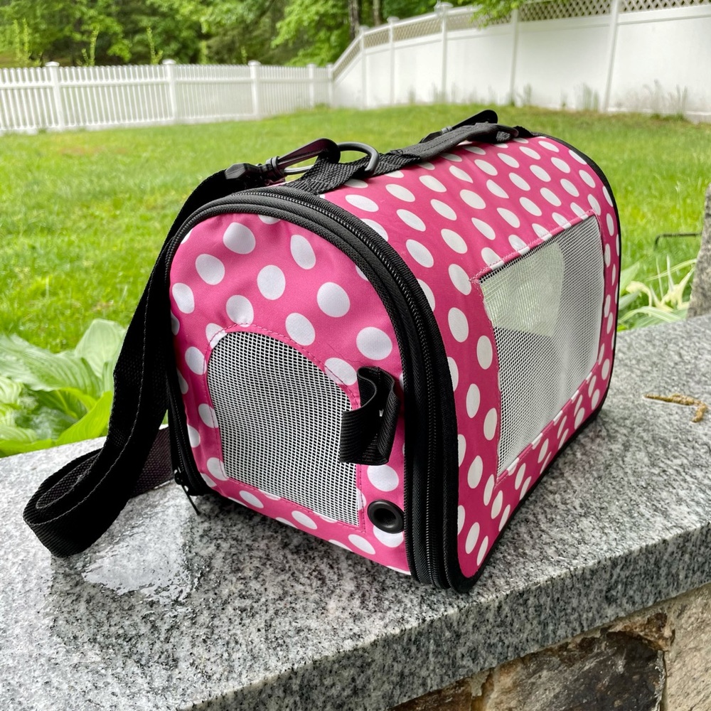 Pet carrier xs